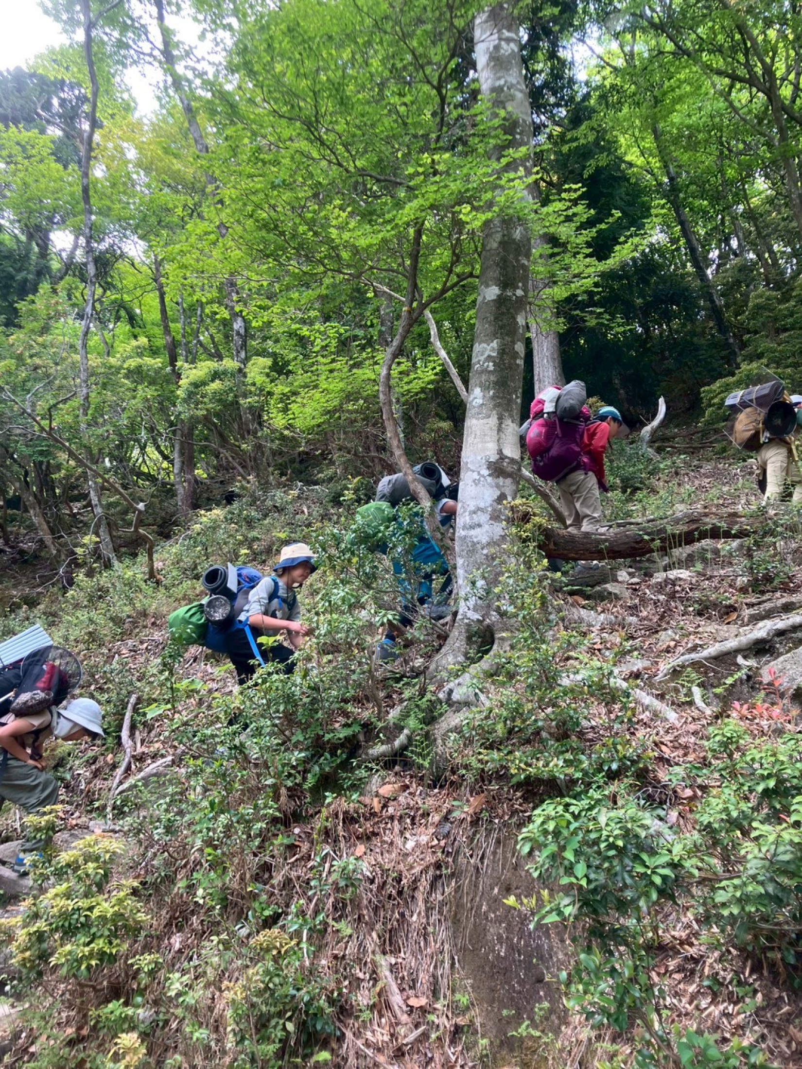 仲間と山を登り、自然の厳しさに触れる活動
