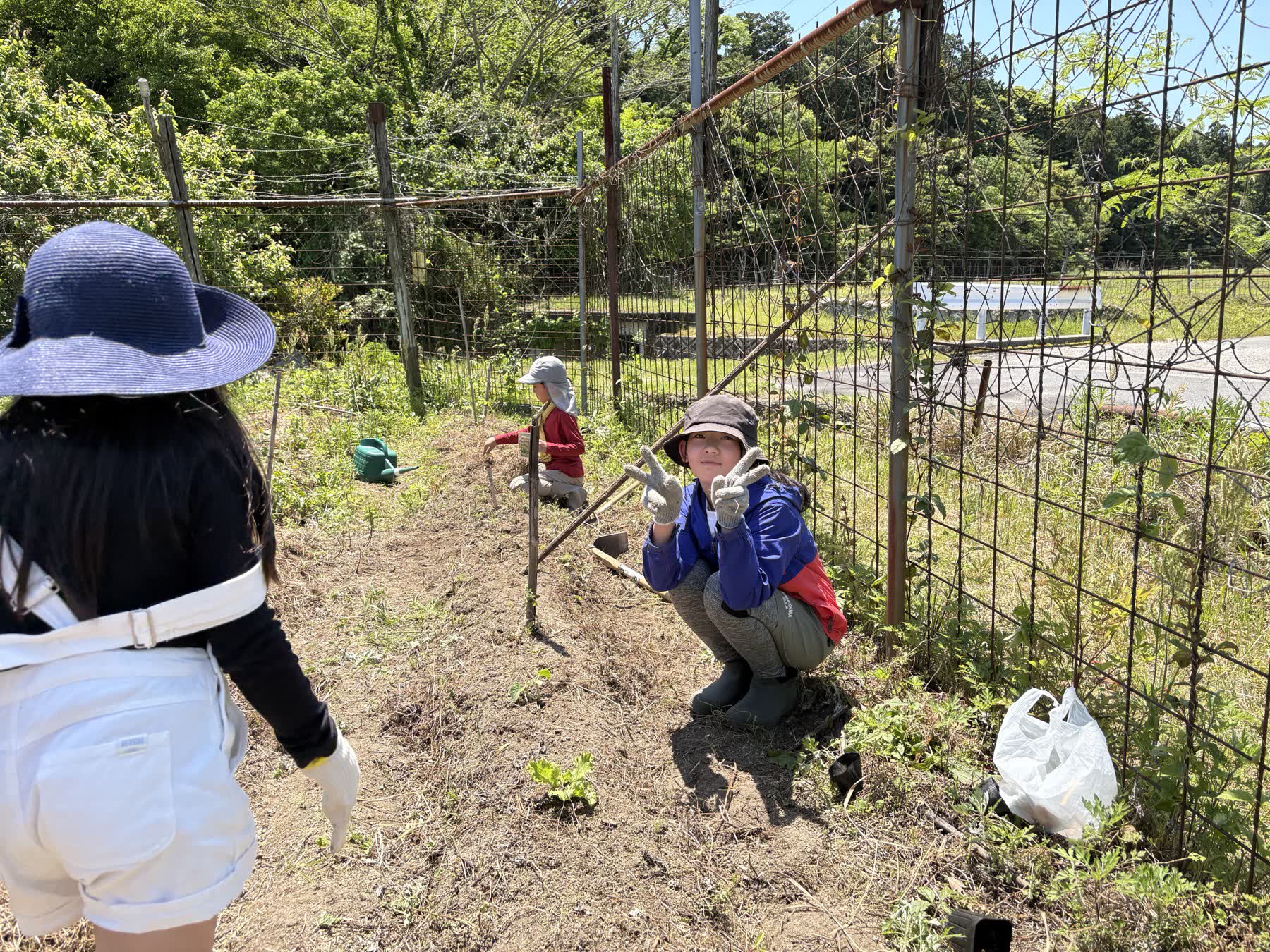 畑しごとをする里組の子どもたち