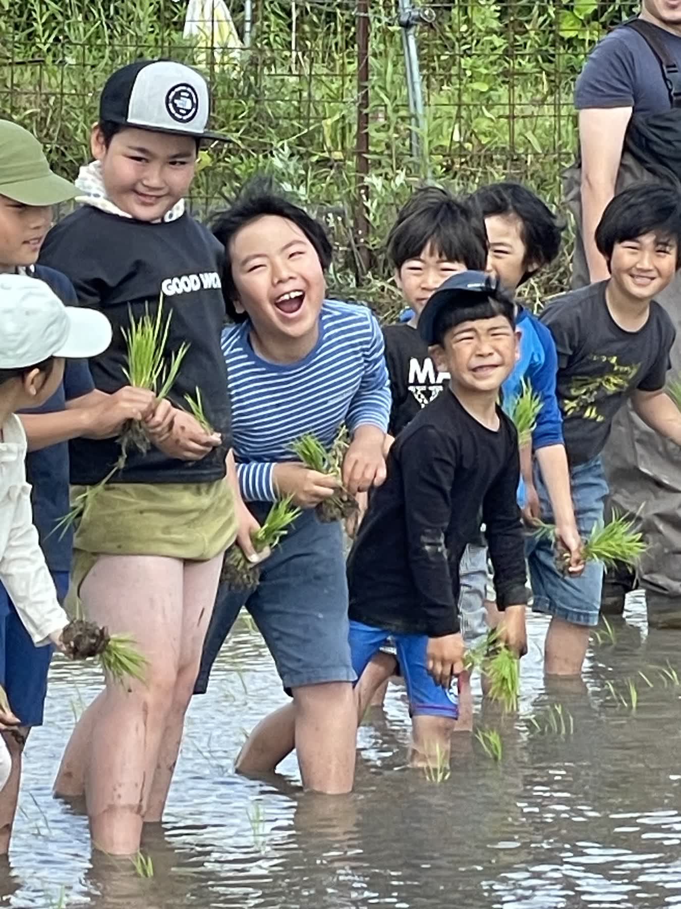 自然の中で活動する自然組の子どもたち