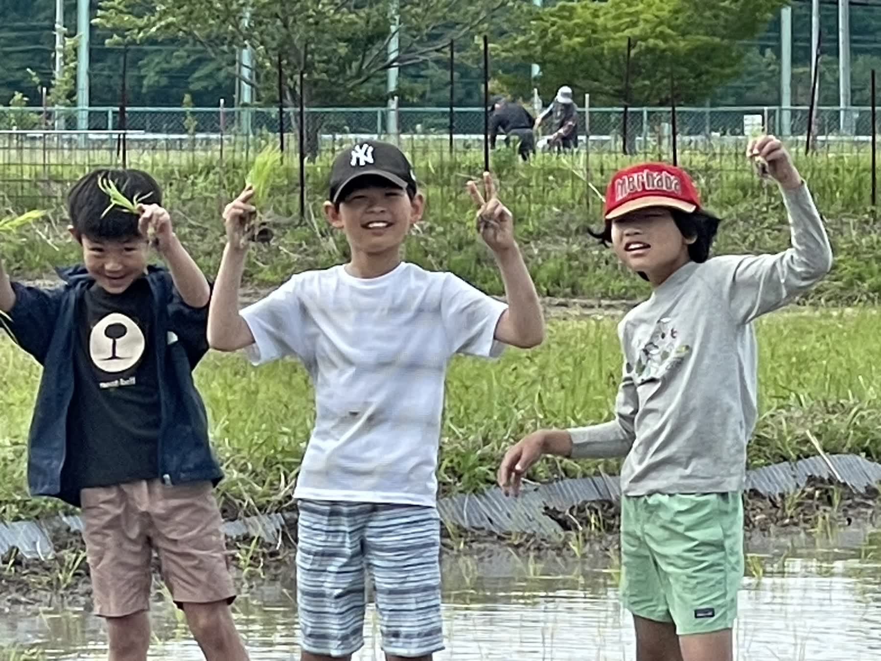 野原で活動する自然組の子どもたち