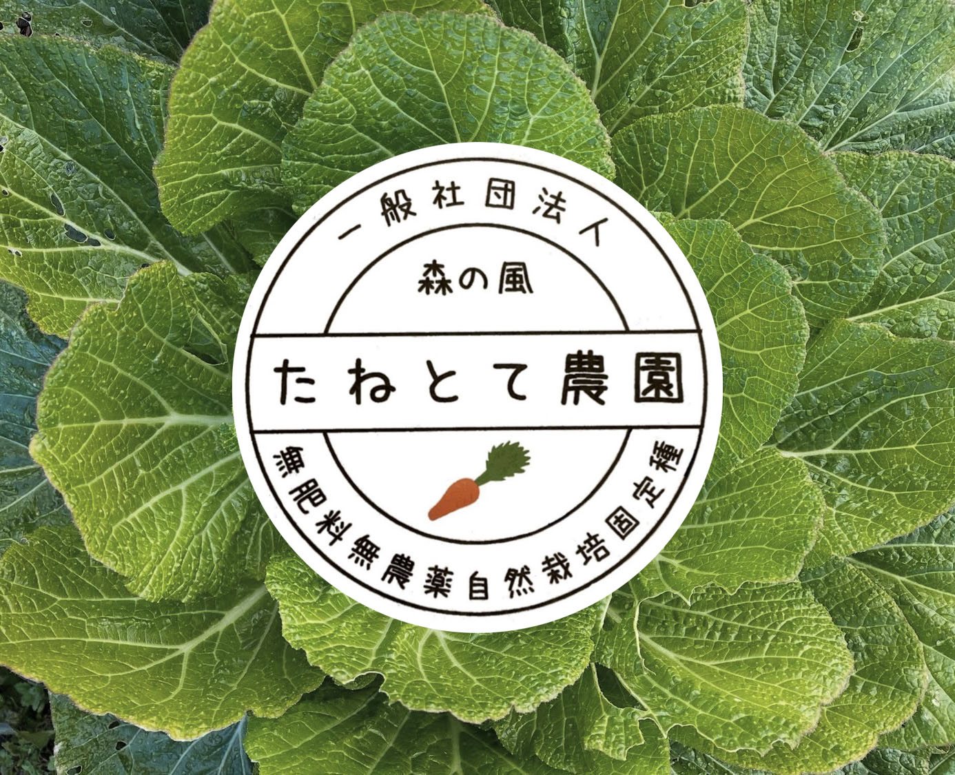 たねとて農園での活動風景