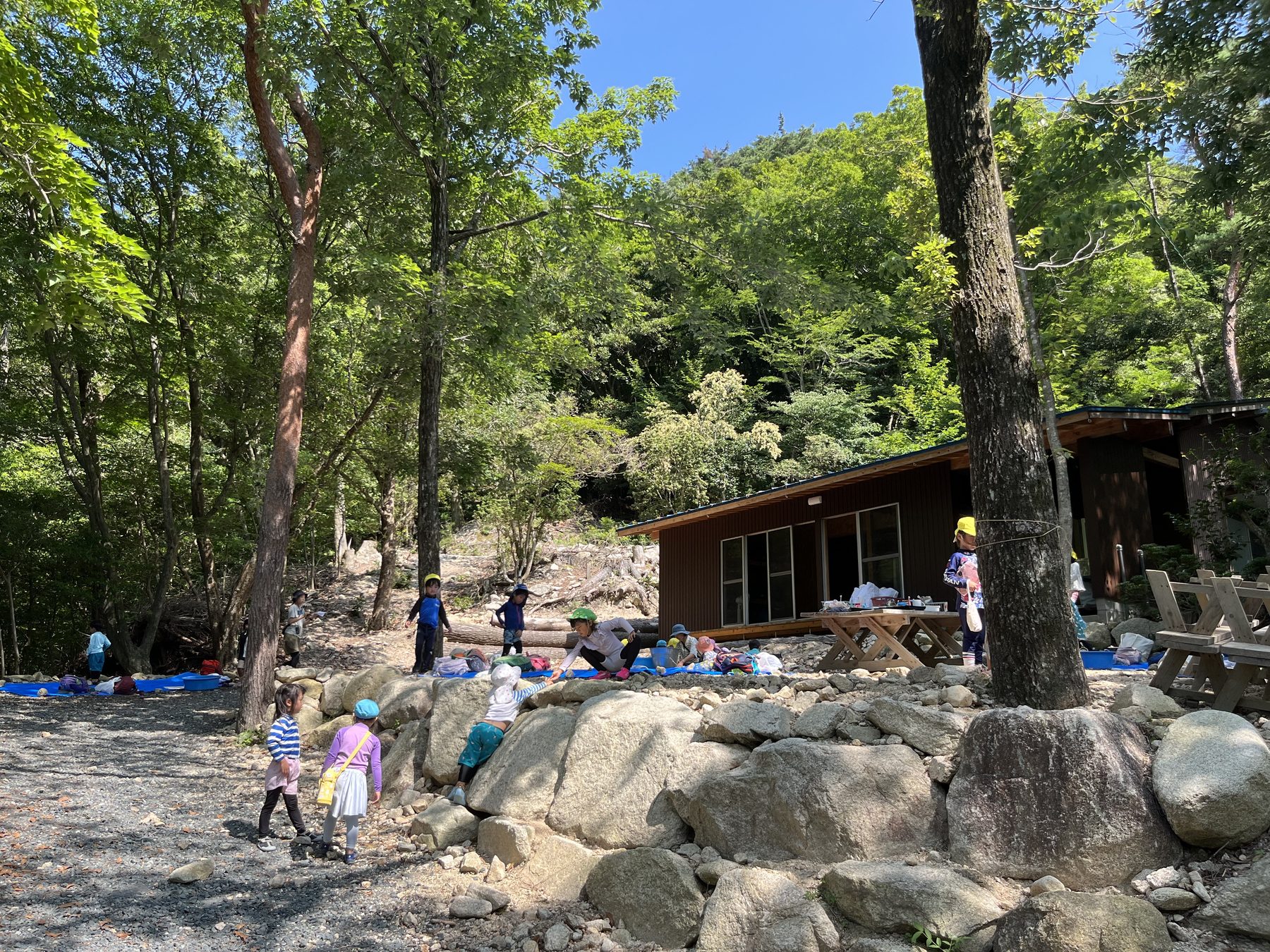 森の風 山荘の自然豊かな環境